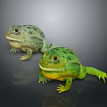 Two Vibrant Green And Yellow Frogs With Smooth Skin Sitting On Dark Background