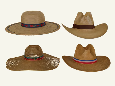 Fashionable Straw Hats With Wide Brim And Colorful Decorative Bands Design 3d model