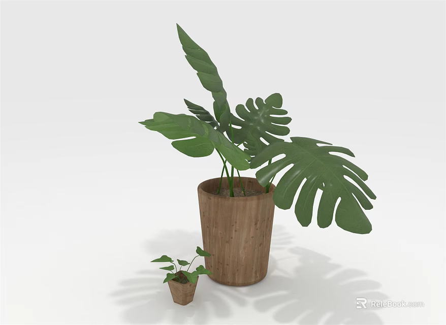 Bonsai Potted Plant with Large Green Leaves in Wooden Pot and Small Companion Plant 3d model 