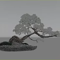 Natural Bonsai Decorative Ornament Set With Curved Trunk Green Leaves And Moss Covered Stones
