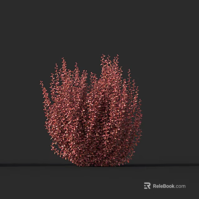 Red Bush With Vibrant Red Leaves And Dense Foliage In Full Shape 3d model 