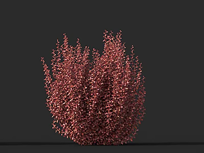 Red Bush With Vibrant Red Leaves And Dense Foliage In Full Shape 3d model
