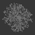 Snow Covered Deciduous Arbor With White Snow On Branches And Natural Beauty
