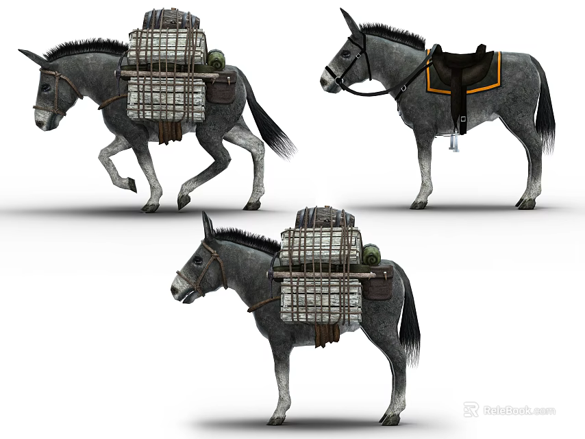 Reptiles Carried in Cages by Working Donkeys in Rural Transport Scenes 3d model 