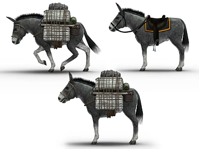 Reptiles Carried in Cages by Working Donkeys in Rural Transport Scenes 3d model