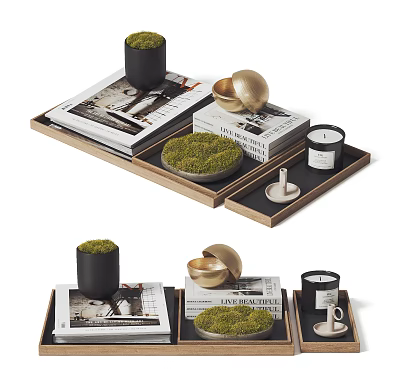 Modern Decorative Ornament Set With Tray Books Moss Candle And Golden Ornament 3d model