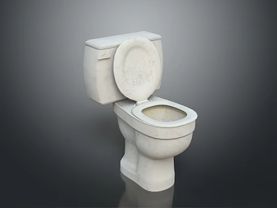 White Toilet Bowl With Open Lid Modern Bathroom Household Essential Fixture 3d model