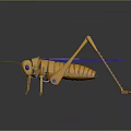 grasshopper insect cartoon locust animation locust anime locust anime game character 3d model