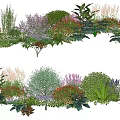 Colorful Garden Plant Combination With Purple Red Blooms Shrubs And Green Foliage