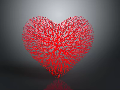 Red Heart Organ with Hair like Vascular Fibrous Network Structure 3d model