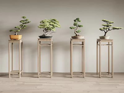 Bonsai Plants Arranged in a Row on Light Wooden Stands in Minimalist Interior Space 3d model