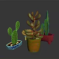 Decorative Potted Cactus Plants in Various Colored and Shaped Pots on Dark Background