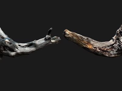 Natural Stone Wood Sculptures With Intricate Texture And Curved Shapes 3d model