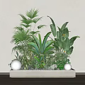 Green Plants With White Spherical Decorations On White Rectangular Base Against Light Wall Wooden Floor