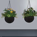 Black Hanging Basket Plants With Yellow Flowers And Green Leaves Hanging On White Wall