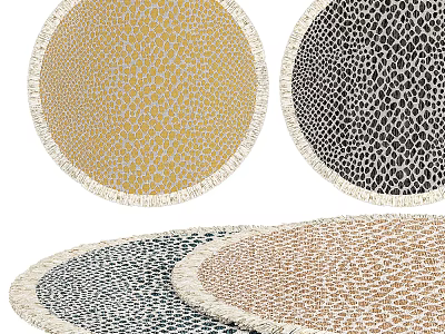 Colorful Patterned Round Area Rugs With Fringe Edges For Living Room Decor 3d model