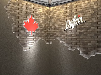 Live Stream Room With Brick Wall Red Maple Leaf And Dafferin Logo 3d model