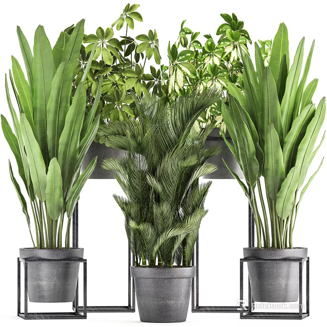 Bonsai Potted Plants Display With Various Green Foliage In Metal Pots And Stands 3d model 