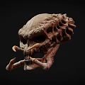 Detailed 3D Monster Skull Model With Sharp Fangs And Bone Texture