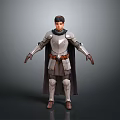 Woman In Medieval Plate Armor With Long Cape Standing In 3D Rendered Character Pose