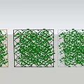 Outdoor Garden Trellis Decor With Green Leafy Vines And Different Frames