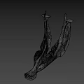 Game Movie Character White Jawbone Skeleton Model With Teeth Structure On Black Background