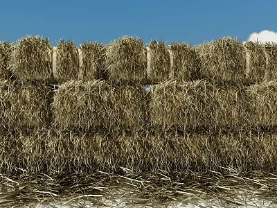 Stacked Hay Bales In Rural Agricultural Field Under Blue Sky With Clouds 3d model