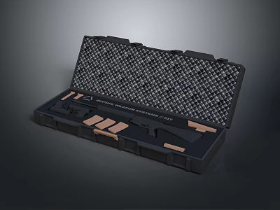 Black Hard Shell Weapon Case Containing Firearm And Accessories Inside 3d model