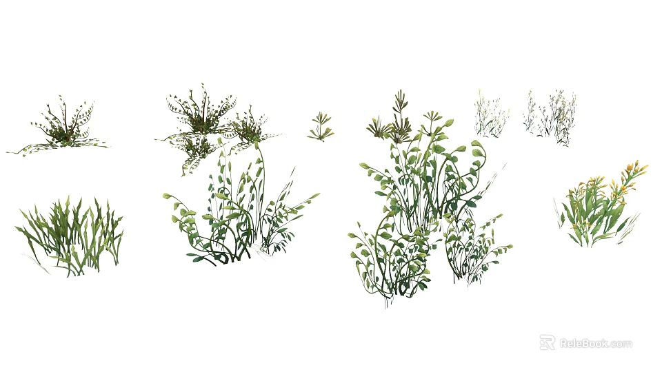 Cartoon Style Green Plants Collection With Various Grass And Fern Designs 3d model 