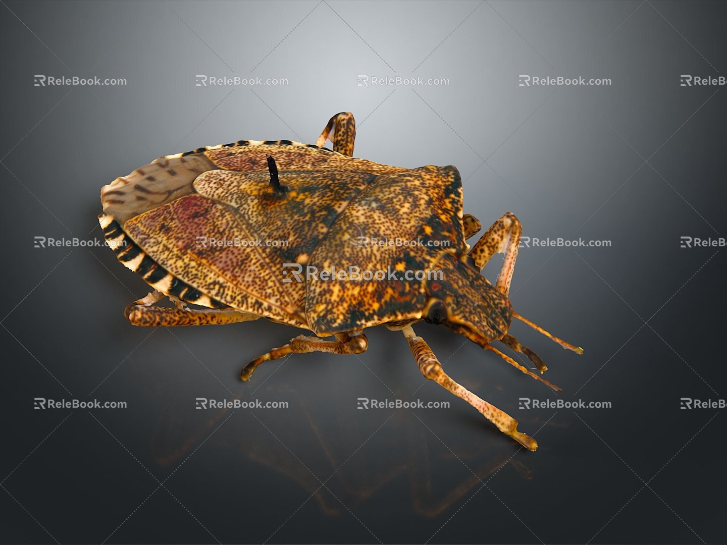 Insect Animal Game Animal Cartoon Animal Animal Realistic Animal Realistic 3d model