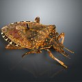 Insect Animal Game Animal Cartoon Animal Animal Realistic Animal Realistic 3d model