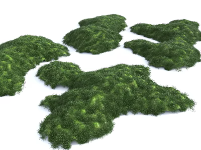 Natural Green Microlandscape Terrain with Irregular Shapes and Lush Vegetation 3d model