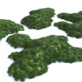 Natural Green Microlandscape Terrain with Irregular Shapes and Lush Vegetation