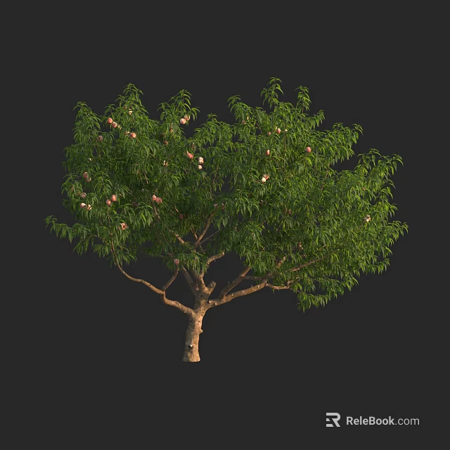 Tall Arbor Featuring Lush Green Leaves White Flowers And Brown Trunk 3d model 