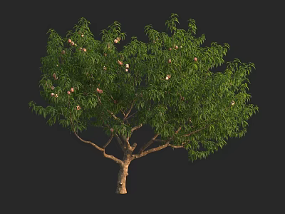 Tall Arbor Featuring Lush Green Leaves White Flowers And Brown Trunk 3d model