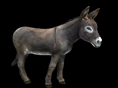modern donkey 3d model modern donkey 3d model