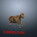 3D Goat Character Model With Skeleton Rigging And Running Animation