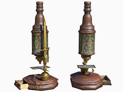 Pair Of Vintage Medical Microscopes With Wooden Base And Brass Components 3d model