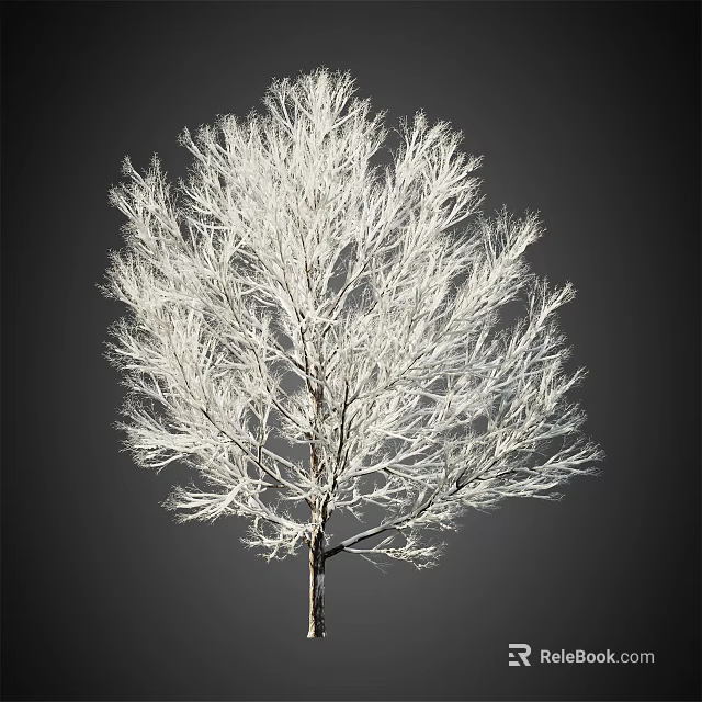 White Arbor With Delicate White Branches Against Dark Background In Isolated Full View 3d model 