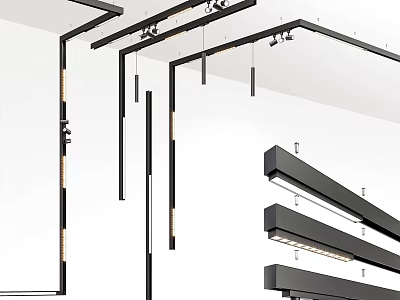 Track Mounted Downlights and Spotlights Modern Design with Sleek Black Frames Adjustable Angles Ceiling Installation 3d model