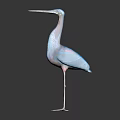 Colorful Blue And Pink Bird With Long Beak And Slender Legs Standing On Dark Background