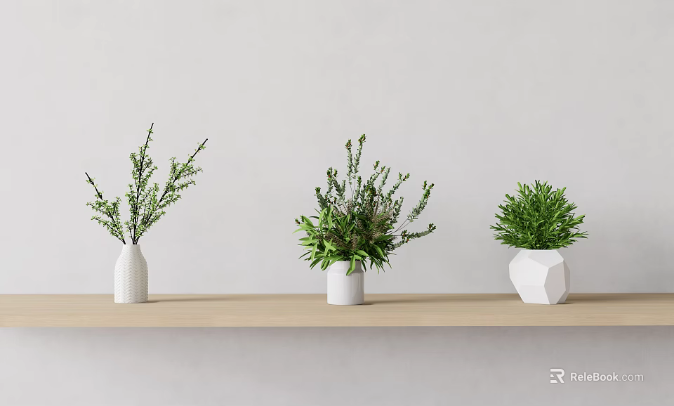 Three White Vases With Green Plants On Light Wooden Shelf Against Light Wall 3d model 