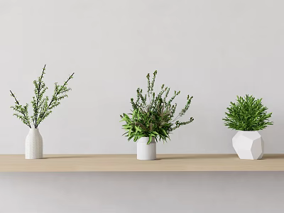 Three White Vases With Green Plants On Light Wooden Shelf Against Light Wall 3d model