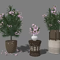 Bonsai Potted Plants With Pink Flowers Green Leaves And Various Decorative Pots