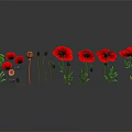 Red Poppies With Green Stems And Leaves On Gray Background With Reflections