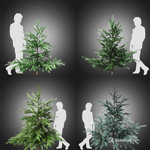 Different Arbor Varieties With Various Shapes And Human Silhouette Comparison 3d model 