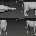 Cow Cow Cow 3d model