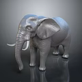 Gray Elephant 3D Model with Tusks Standing on Smooth Surface and Dark Background 3d model