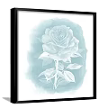 Light Blue Rose Botanical Painting in Black Frame with Watercolor Art Style