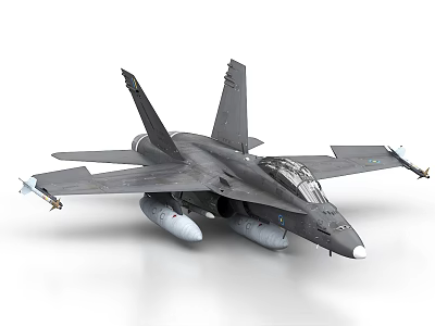 Gray Military Fighter Jet With Missiles And Fuel Tanks On 3d model